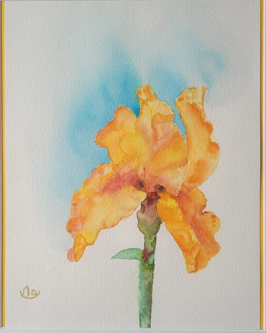 Message soleil Exposition "Oser l'imaginaire" chez JZ Santé Naturelle - Nathalie Delhom